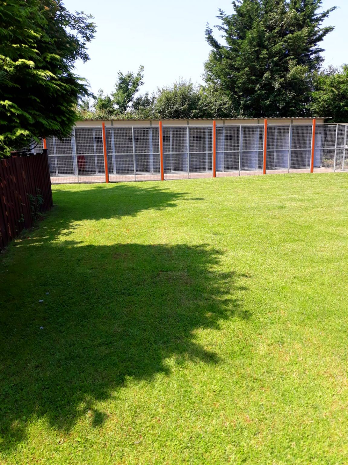 Kennels Elderberry Kennels