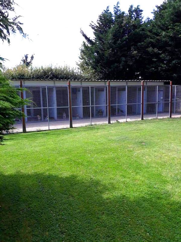 Kennels Elderberry Kennels