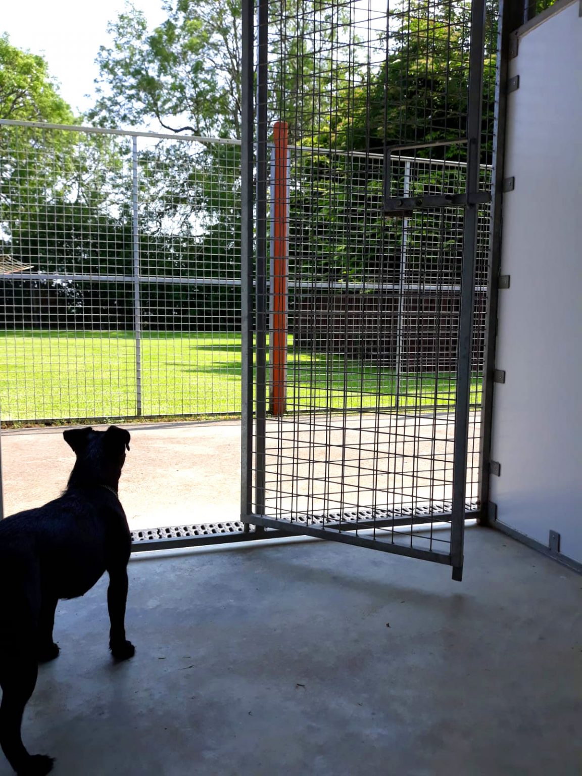Kennels Elderberry Kennels