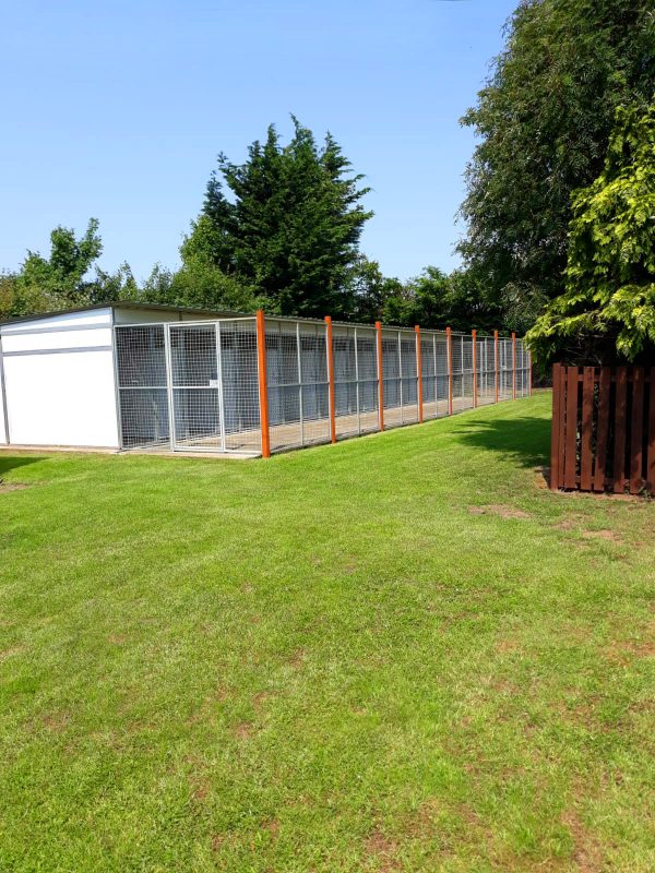 Kennels Elderberry Kennels